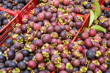 Fresh Mangosteen Displayed in Vibrant Colors at a Local Market Stall