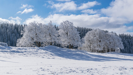 die eiskalte Bise ergibt bizarre Bilder im Neuenburger Jura