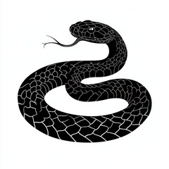 Fototapeta premium Black and white snake illustration