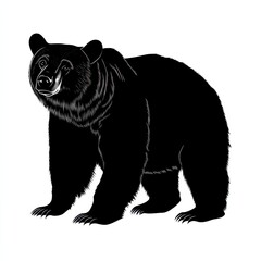 Fototapeta premium Majestic black bear silhouette.