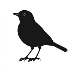 Obraz premium Silhouette of a small bird