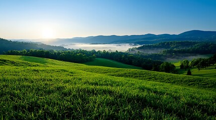 Fototapeta premium Lush Green Hills Under Bright Blue Sky at Sunrise in Landscape