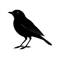 Obraz premium Black Silhouette of a Bird