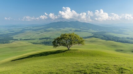 Obraz premium Solitary tree on hilltop, scenic valley, mountains background, peaceful landscape, nature photography