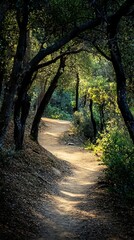 tranquil forest clearing with lush green leaves and sunlight
