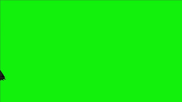 2d Animation of a Large Dark Grey Bear Running Across, With Green Screen Background