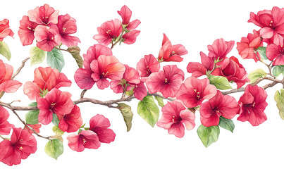 Pink bougainvillea floral branch border, watercolor, design element