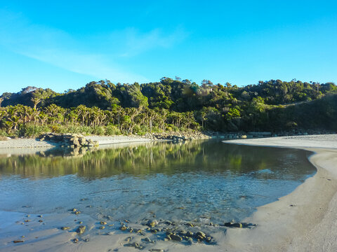 Tranquil coastal lagoon with idyllic Pororari River in Punakaiki, West Coast, New Zealand South Island. Native bus including Nikau palms lines shore. Wilderness of coastline Tasman sea, Pacific Ocean