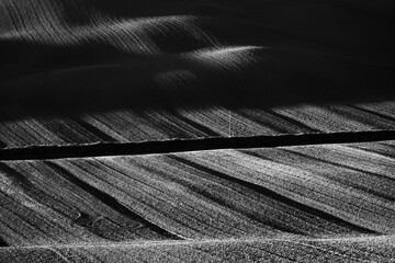 Monochrome photograph of agricultural land highlighting textures of furrows and contrasting light...