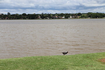 A calm and serene lake beautifying the urban area