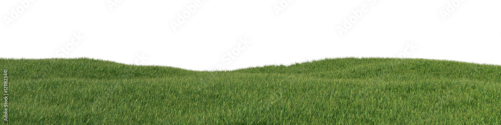 Aufkleber green grass field with daylight lighting isolated on transparent background. 3d realistic rendering 