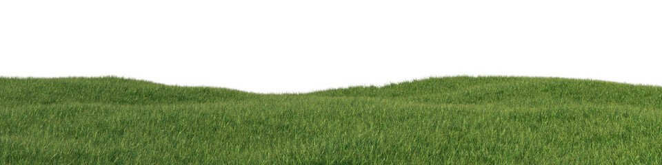 Green grass field with daylight lighting isolated on transparent background. 3d realistic rendering . PNG format