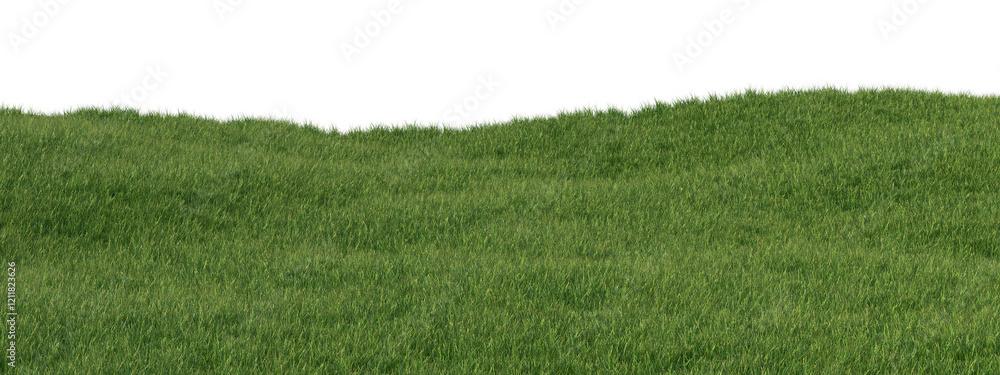 Aufkleber green grass field with daylight lighting isolated on transparent background. 3d realistic rendering 