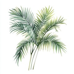 Lush Green Tropical Palm Leaves on White Background Artwork