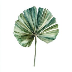 Green Tropical Leaf with Detailed Texture and Natural Shades