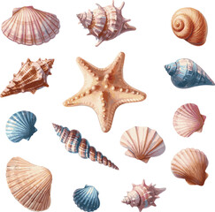 Collection of beautiful watercolor painted sea shells and starfish isolated on white background