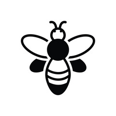 Black solid icon for bee