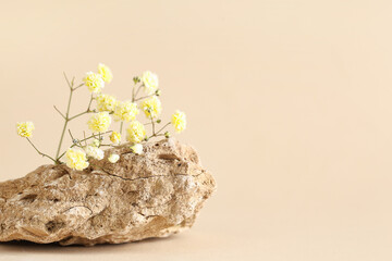 Beautiful gypsophila flowers and decorative stone on beige background