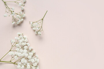Beautiful composition with gypsophila flowers on beige background