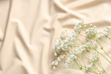 Beautiful gypsophila flowers on beige fabric as background