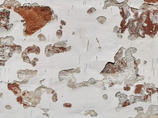 Detailed close-up of weathered brick wall showing peeling paint and exposed texture in a historic setting