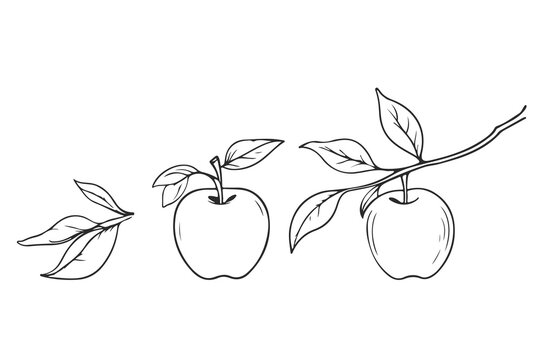 Apple Botanical Doodle Line Art Vector Set. Apple Branch with Leaves Abstract Sketch Doodle Art Design for Print, Food Design, Home Decoration.