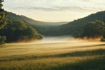 Fototapeta premium Early morning mist blankets a tranquil valley with lush greenery and rolling hills under a soft sunrise