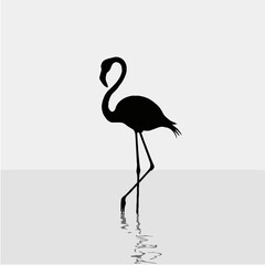 Obraz premium Elegant Flamingo Silhouette Vector