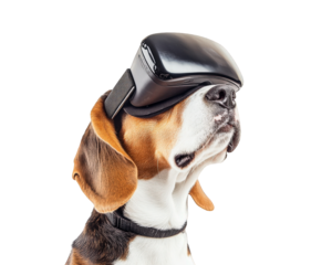 beagle dog wearing virtual reality headset, showcasing curiosity and playfulness. This unique image captures blend of technology and pet companionship
