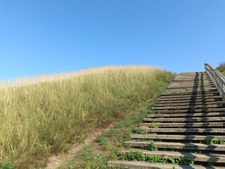 Salduve hill during sunny day. Small hill. Grass is growing on hill. Staircase leading to the top....