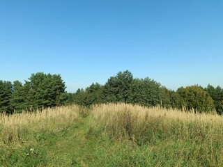 Salduve hill during sunny day. Small hill. Grass is growing on hill. Staircase leading to the top....