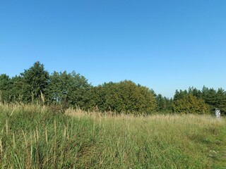 Salduve hill during sunny day. Small hill. Grass is growing on hill. Staircase leading to the top....