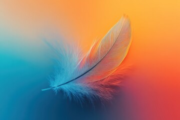 Obraz premium A vivid feather centered on a multicolored gradient background, with smooth transitions between blue, orange, and red, evoking warmth and tranquility. 