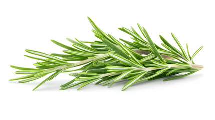 Fototapeta premium Fresh rosemary sprig, isolated on white background, culinary herb, cooking ingredient