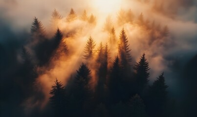 Naklejka premium Forest silhouettes, misty sunrise, golden sunbeams, pine trees, foggy atmosphere, dramatic lighting, ethereal landscape, moody sky, dreamy nature scene, cinematic composition, warm color palette