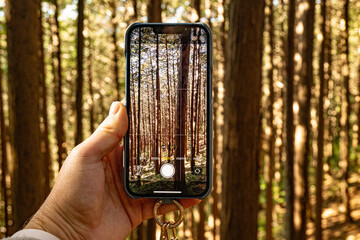 Fototapety na wymiar - Fototapeta24.pl