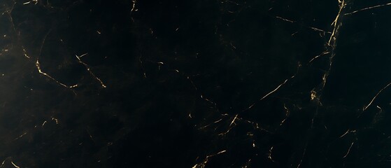 Dark marble texture with gold veins. (1)