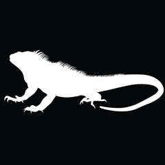 lguana vector animal illustration black background