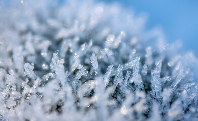 Macro shot of tiny ice crystals in sunlight with selective focus. Blue shimmering deep frozen snow. Winter background in blue tones with glittering light reflections. Structures of crystalline water.