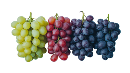 A vibrant display of assorted grapes showcasing nature’s colorful bounty at a harvest festival