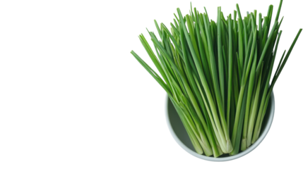 Freshly harvested green onions in a bowl ready for culinary creation and flavor enhancement