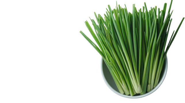 Freshly harvested green onions in a bowl ready for culinary creation and flavor enhancement