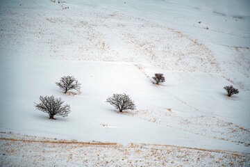 footprints on the snow