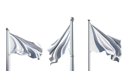 white flag (png)