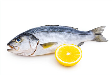 Fototapeta premium Raw sea bass fillet, isolated on white background.