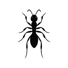 black ant isolated on white vector illustration