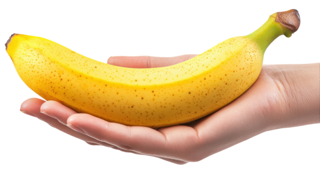 A fresh yellow banana held in a hand against a bright white background