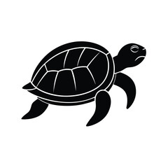 A vector illustration of turtle