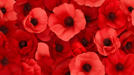 Red poppy flower petals background texture, perfect for remembrance day cards or websites