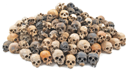 Collection of Human Skulls on a Transparent Background Generative AI